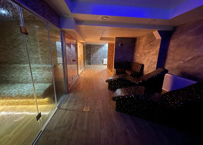 Plavi Bor ズラティボール