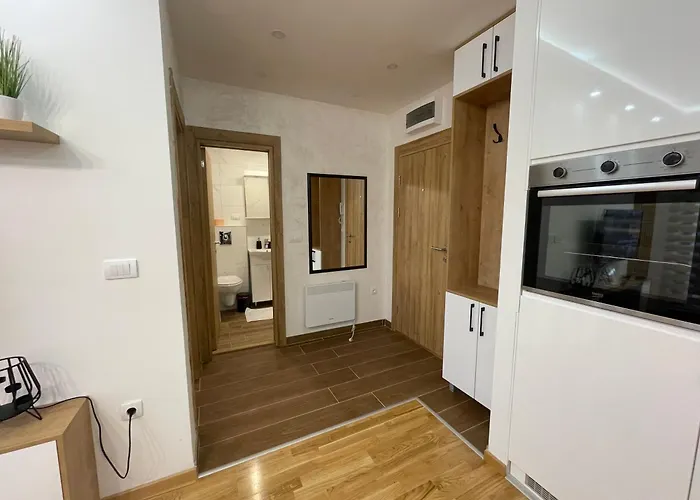 Plavi Bor アパート ズラティボール