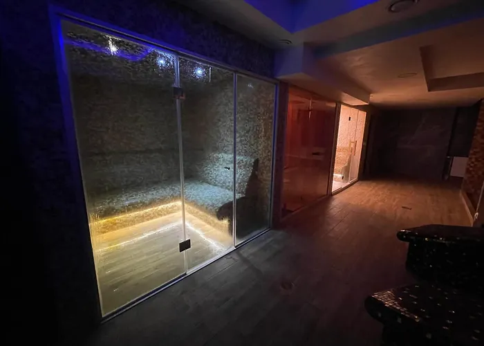 Plavi Bor アパート *